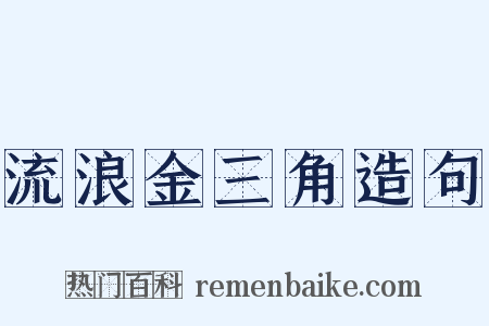 流浪金三角造句是什么意思的图片
